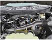 2023 Ford F-150  (Stk: F508) in Miramichi - Image 13 of 13