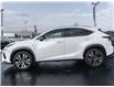 2019 Lexus NX 300 Base (Stk: PL6362) in Windsor - Image 3 of 21