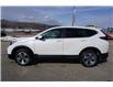 2021 Honda CR-V LX (Stk: P23-017) in Vernon - Image 2 of 17