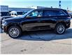 2023 Jeep Grand Cherokee 4xe Summit (Stk: 43699) in Kitchener - Image 5 of 22