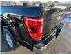 2023 Ford F-150 XLT (Stk: T3024) in St. Thomas - Image 11 of 25