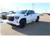 2023 GMC Sierra 1500 Pro (Stk: 203042) in Medicine Hat - Image 3 of 19