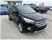 2017 Ford Escape SE (Stk: A0503) in Steinbach - Image 7 of 17