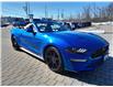 2019 Ford Mustang GT Premium (Stk: P0524) in Mississauga - Image 9 of 25