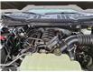 2023 Ford F-150  (Stk: F513) in Miramichi - Image 14 of 14