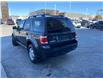 2009 Ford Escape XLT (Stk: 52954A) in Brampton - Image 4 of 12