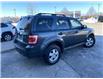 2009 Ford Escape XLT (Stk: 52954A) in Brampton - Image 6 of 12