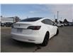 2020 Tesla Model 3 Standard Range Plus (Stk: CP23022A) in Kamloops - Image 6 of 14