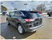 2022 Ford Escape SE (Stk: ES252) in Miramichi - Image 3 of 14