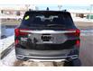 2023 Kia Seltos EX (Stk: 24199) in Edmonton - Image 13 of 18