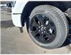2023 Ford F-150 XLT (Stk: 23F9133) in Mississauga - Image 9 of 31