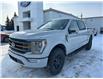 2023 Ford F-150 Tremor (Stk: 23117) in Wilkie - Image 3 of 24