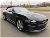 2021 Ford Mustang EcoBoost Premium (Stk: S21195) in New Glasgow - Image 3 of 18