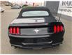 2021 Ford Mustang EcoBoost Premium (Stk: S21195) in New Glasgow - Image 4 of 18