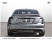 2023 Cadillac CT5 Sport (Stk: 8061-23) in Hamilton - Image 4 of 30