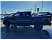 2023 Ford F-150 XLT (Stk: 23F5763) in Mississauga - Image 8 of 32