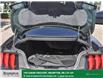 2020 Ford Mustang BULLITT (Stk: 14948) in Brampton - Image 14 of 30