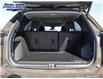 2023 Chevrolet Equinox LT (Stk: 230384) in Windsor - Image 11 of 29