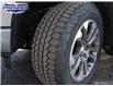 2023 Chevrolet Silverado 1500 High Country (Stk: 230368) in Windsor - Image 7 of 27