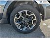 2017 Subaru Crosstrek  (Stk: 2229B) in Tecumseh - Image 7 of 26