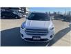 2019 Ford Escape SEL (Stk: 23048) in Sudbury - Image 3 of 24