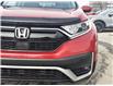 2020 Honda CR-V EX-L (Stk: 17-P6767) in Ottawa - Image 4 of 26