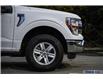 2022 Ford F-150 XLT (Stk: W1EN777) in Surrey - Image 9 of 24