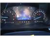 2020 Ford Explorer XLT (Stk: PR13109) in Windsor - Image 18 of 21