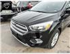 2017 Ford Escape SE (Stk: 23078) in Ottawa - Image 7 of 26