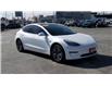 2019 Tesla Model 3 Standard Range Plus (Stk: 46457) in Windsor - Image 2 of 15