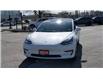 2019 Tesla Model 3 Standard Range Plus (Stk: 46457) in Windsor - Image 3 of 15
