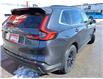 2023 Honda CR-V Sport-B (Stk: 16560) in Belleville - Image 2 of 13