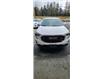 2020 GMC Terrain SLE (Stk: 3T089A) in Hope - Image 2 of 6
