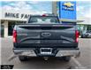 2017 Ford F-150 XL (Stk: P4476A) in Smiths Falls - Image 5 of 22
