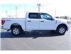 2023 Ford F-150 XLT (Stk: FS10541) in Windsor - Image 11 of 23