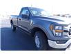 2023 Ford F-150 XLT (Stk: FS66442) in Windsor - Image 13 of 21
