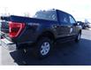2023 Ford F-150 XLT (Stk: FS68304) in Windsor - Image 12 of 18
