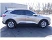 2020 Ford Escape SE (Stk: PR16455) in Windsor - Image 12 of 28