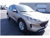 2020 Ford Escape SE (Stk: PR16455) in Windsor - Image 13 of 28