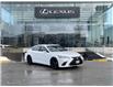 2023 Lexus ES 350 Base (Stk: 14103351) in Markham - Image 1 of 13
