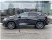 2023 Lexus NX 250 Base (Stk: 14103680) in Markham - Image 4 of 14