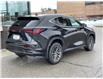 2023 Lexus NX 250 Base (Stk: 14103680) in Markham - Image 7 of 14