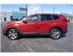 2019 Honda CR-V EX (Stk: PR24946) in Windsor - Image 4 of 24