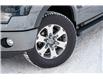 2014 Ford F-150 FX4 (Stk: 30597A) in Edmonton - Image 4 of 32