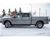 2014 Ford F-150 FX4 (Stk: 30597A) in Edmonton - Image 12 of 32
