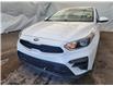 2019 Kia Forte LX (Stk: IU3196) in Thunder Bay - Image 3 of 24