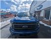 2023 Ford F-150 Lariat (Stk: 10295) in Golden - Image 8 of 15