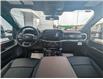 2023 Ford F-150 Lariat (Stk: 10295) in Golden - Image 11 of 15