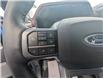 2023 Ford F-150 Lariat (Stk: 10295) in Golden - Image 15 of 15