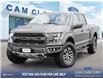 2017 Ford F-150 Raptor (Stk: XL64893) in Richmond - Image 1 of 30